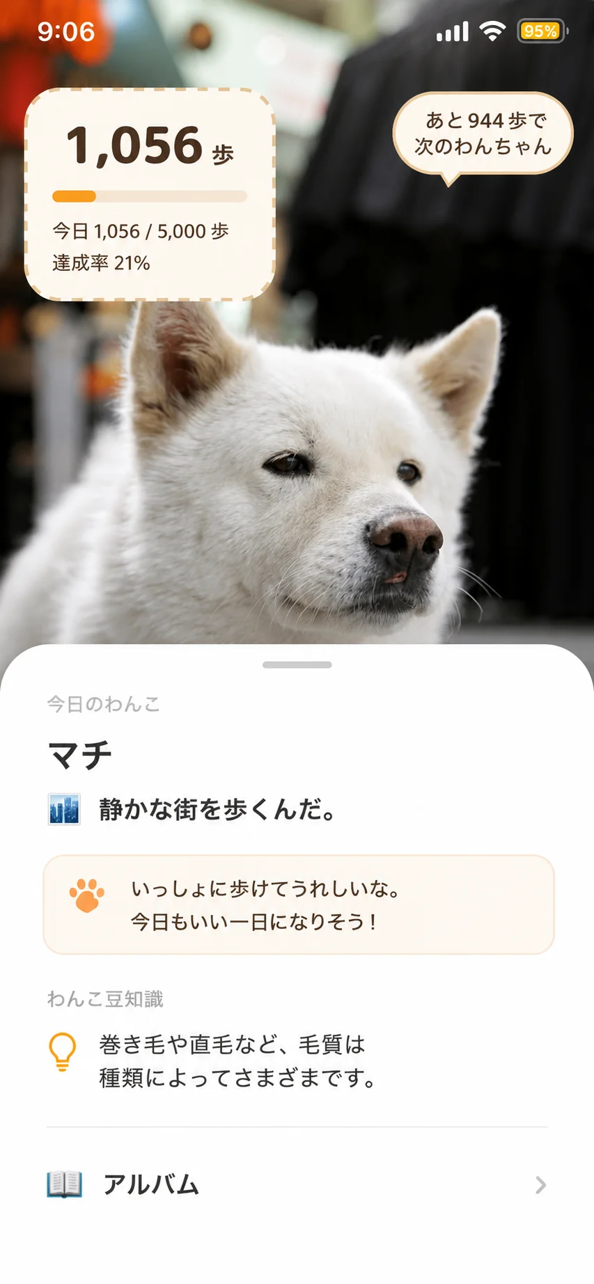 わんこの詳細画面。名前や豆知識が表示されている