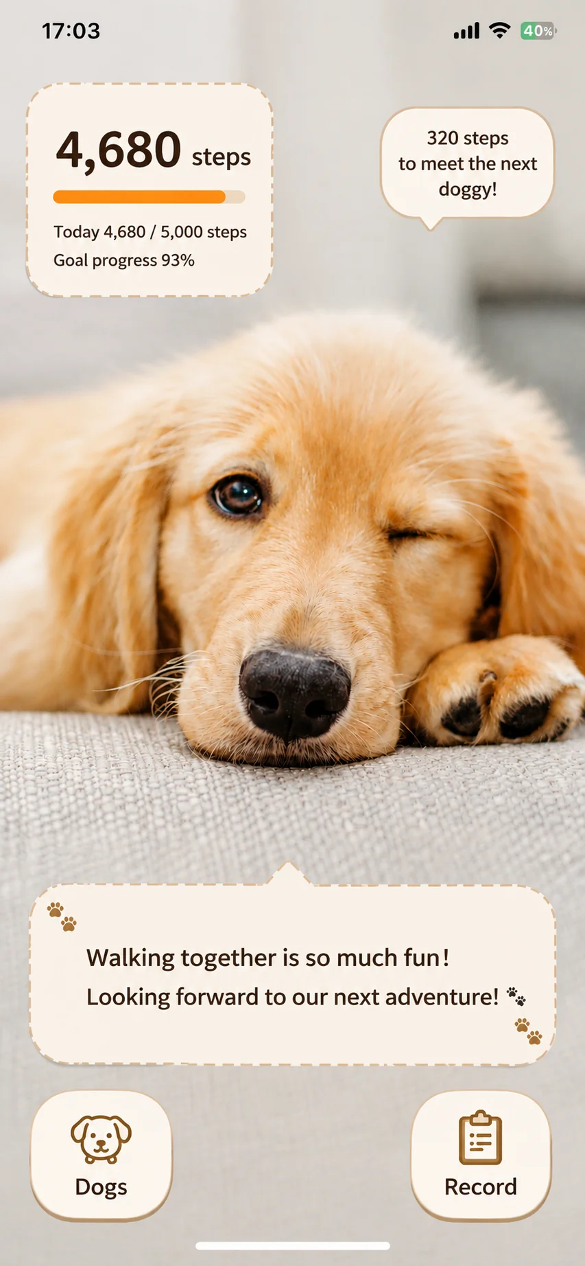 Home screen showing today's dog and your step count