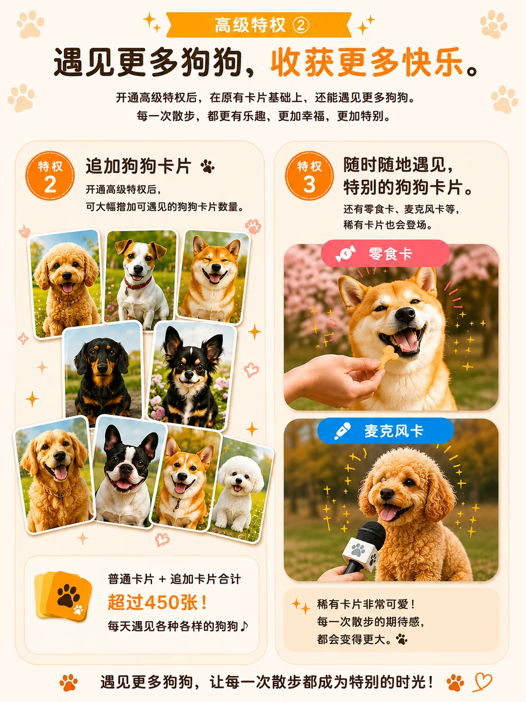 Premium专属追加的小狗，以及与众不同的特别卡片和体验